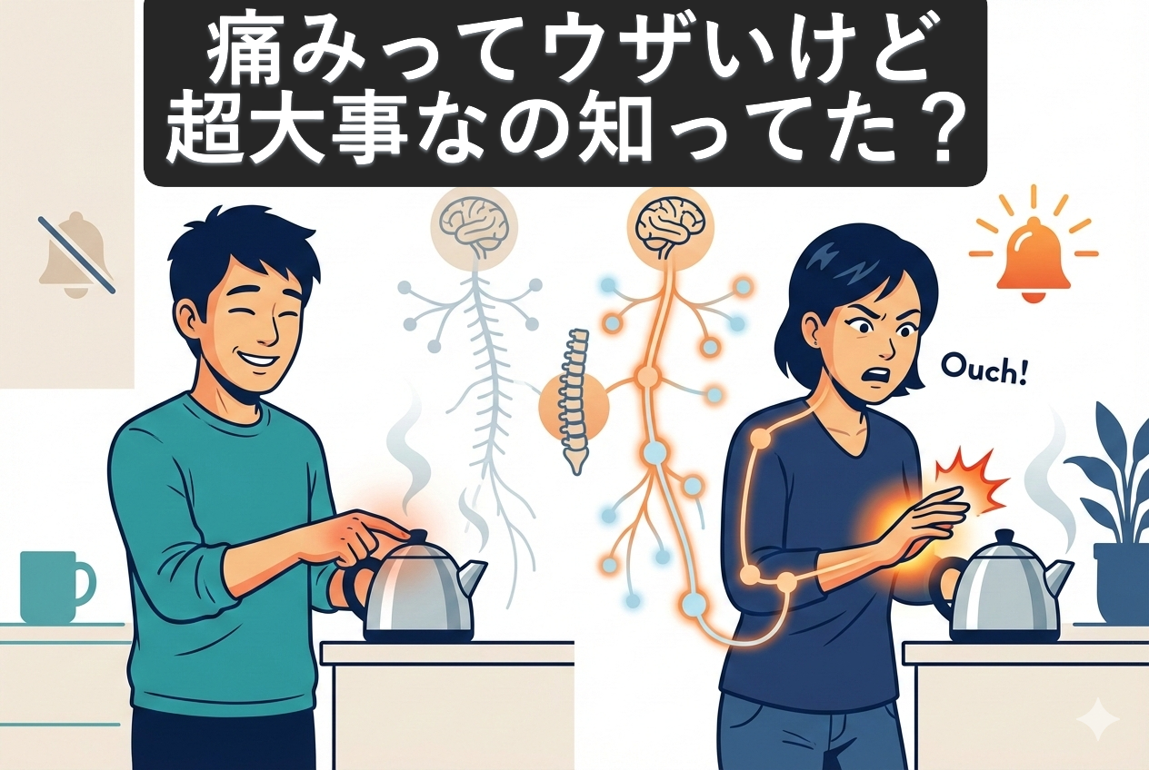 画像の説明