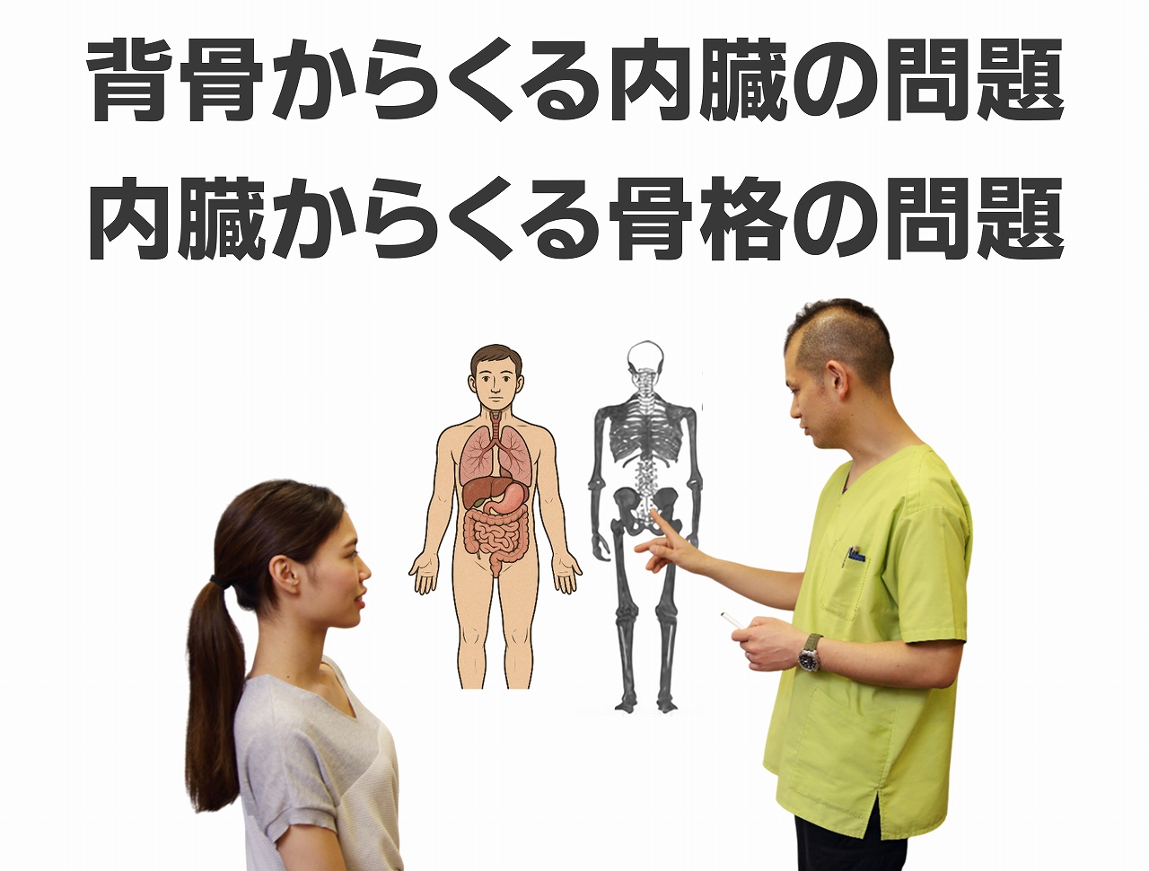 背骨　内臓　ジョイ・ハート整体院