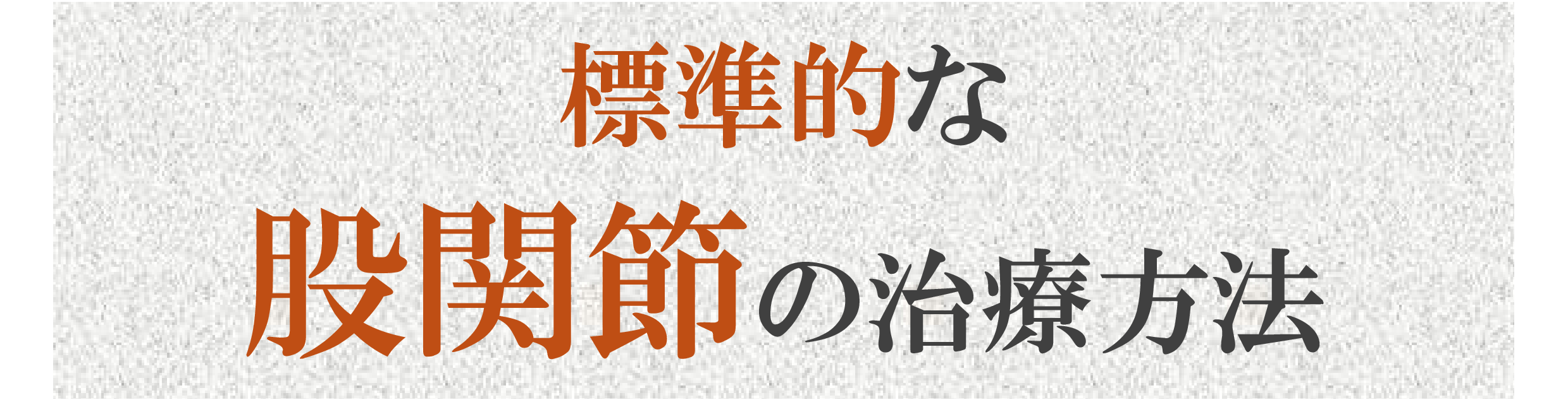 標準的な股関節治療