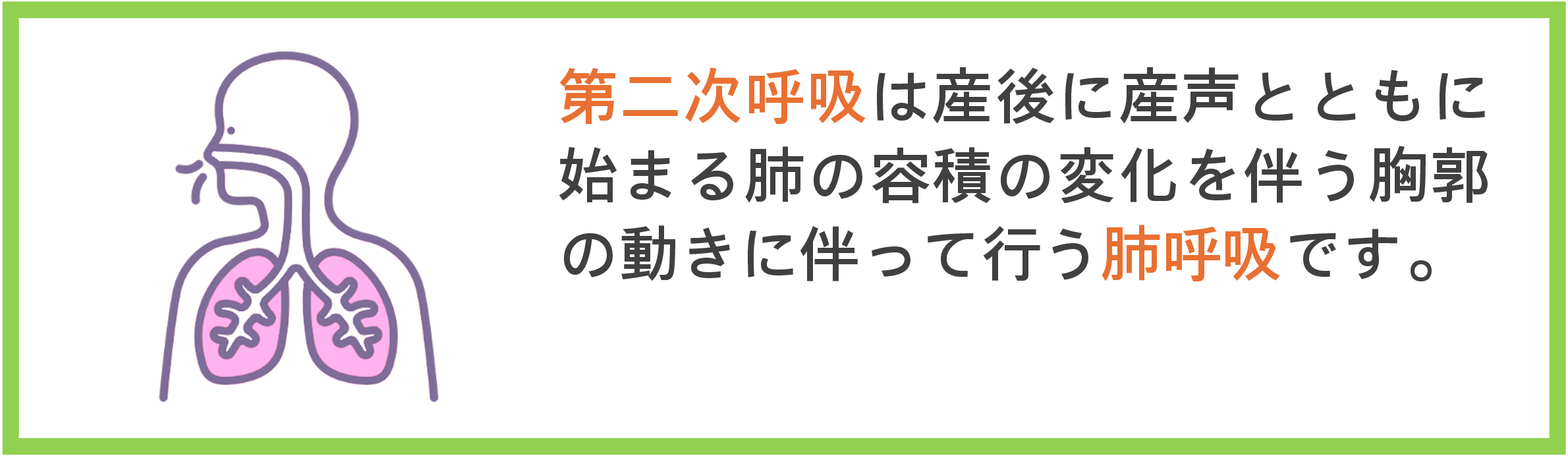 第二次呼吸メカニズム