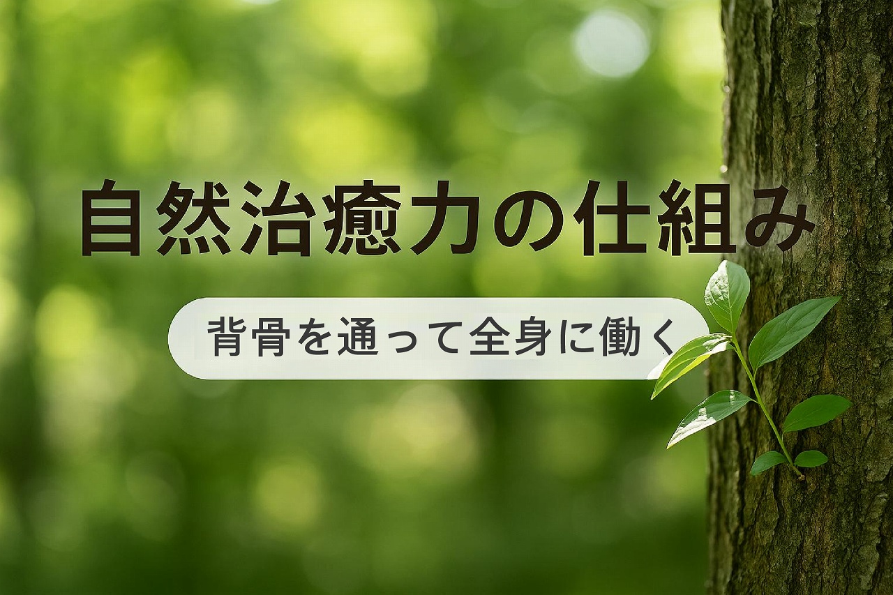 痛み ジョイ・ハート整体院 痛み ジョイ・ハート整体院