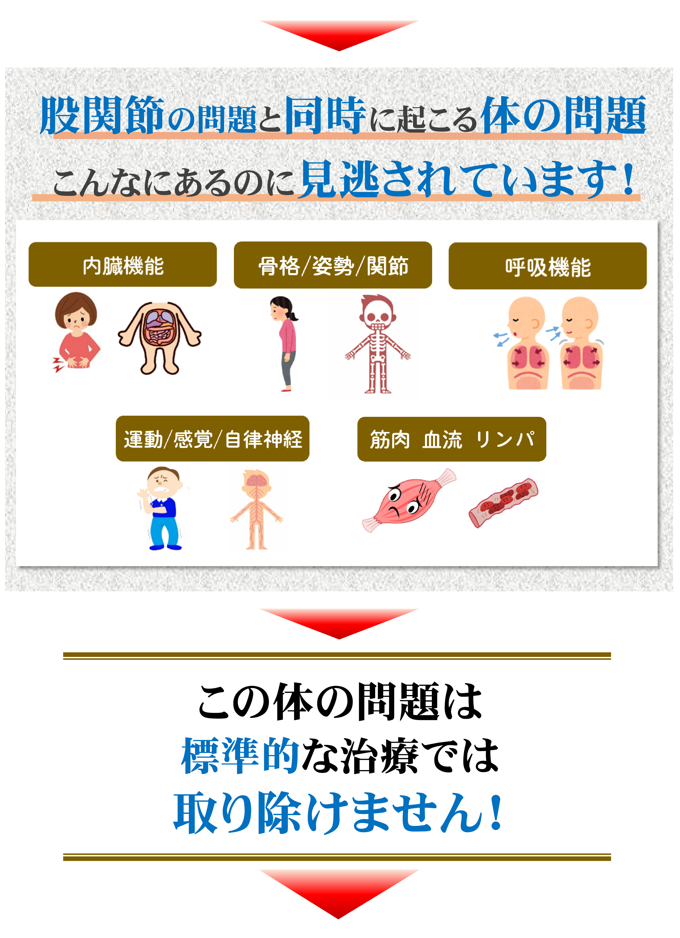 標準的な股関節治療