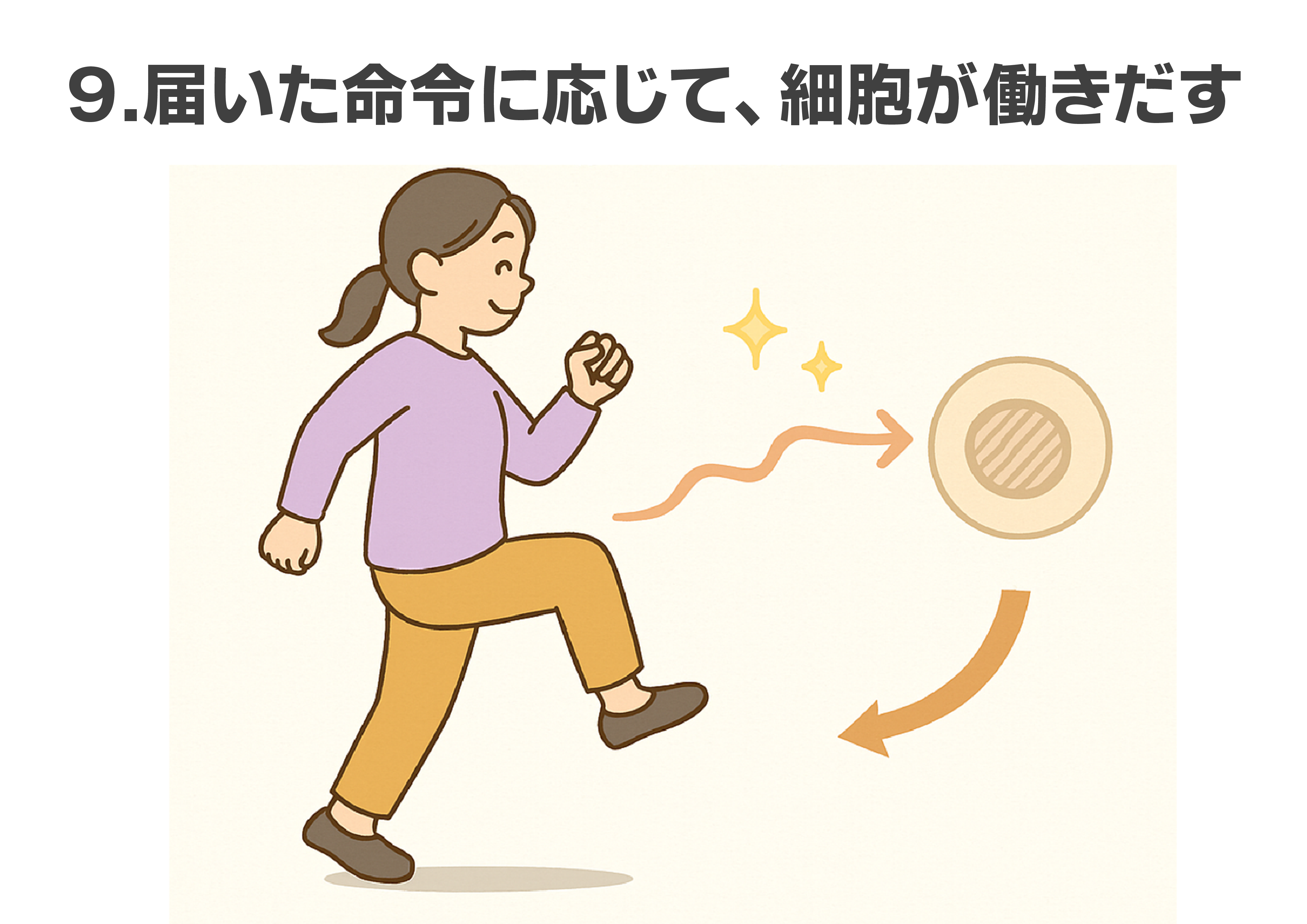 神経 ジョイ・ハート整体院 神経 ジョイ・ハート整体院