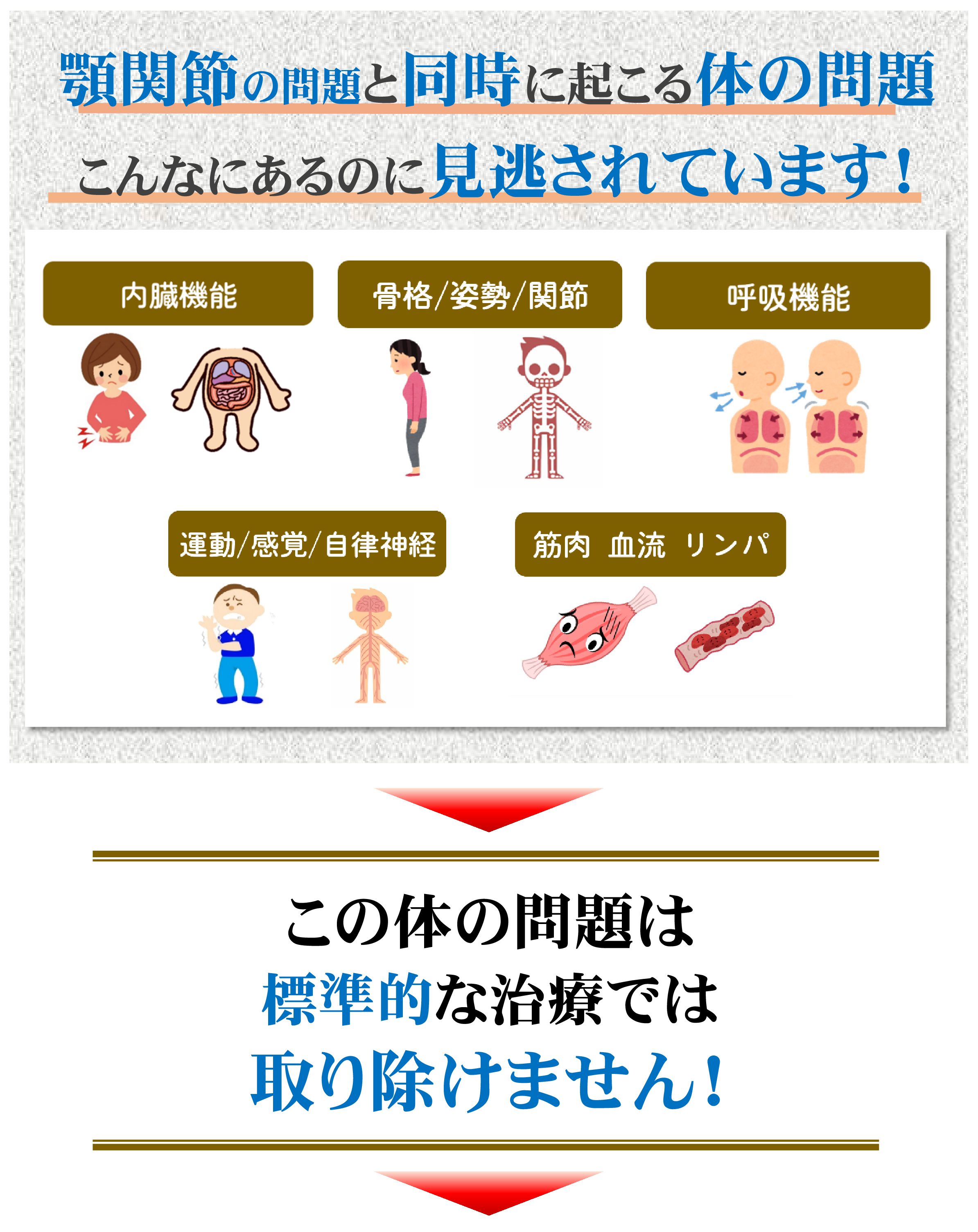 顎関節
